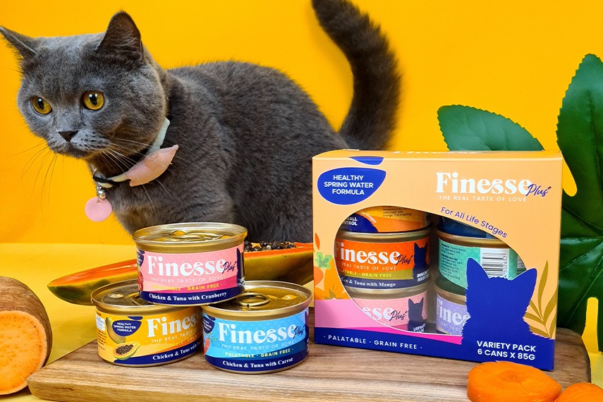 Can’t make up your mind as to which flavours to get? Why not get it all! You can now get Finesse Plus Pure Healthiness Variety Set with all the 6 flavours in it for just $5.90!
